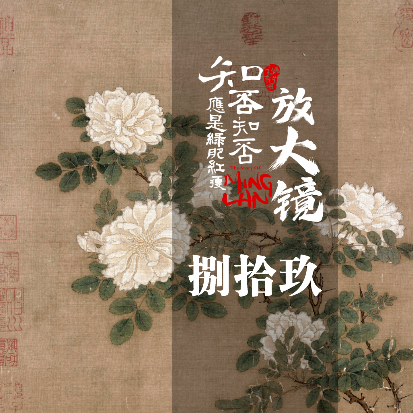 知否放大镜89：曼娘的姹紫嫣红 episode artwork