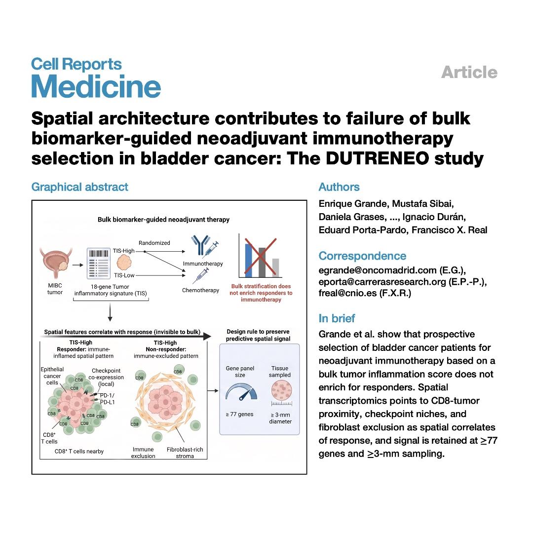 1332-Spatial Transcriptomics for Precision Bladder Cancer episode artwork