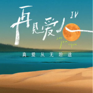 06再见爱人|麦琳被群嘲:是普通人的真相不经细看,还是亲密关系太残酷 |精神世界|爱|共生|灵魂|人性