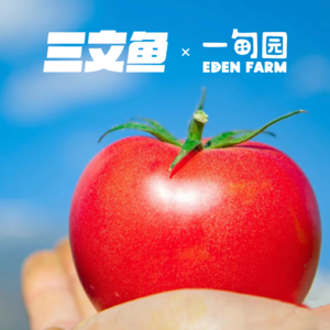 vol.08【亲密关系】把自己还给自己，把别人还给别人