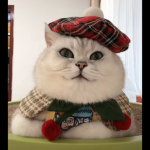 资本市场舆情解读【12月13日】