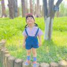 春眠不觉晓晓晓