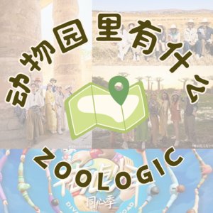 花少7聊到打鸣：晚意太偷心！英子大家爱！CP乱配嗑死谁了？下季嘉宾狠狠点名（许愿）！