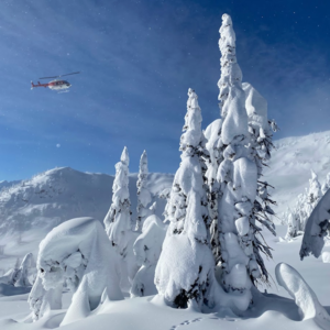 在加拿大的Last Frontier直升机滑雪，下次再也不去了？