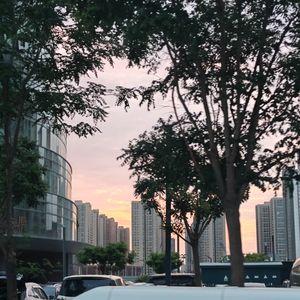 Vol.33 跑马拉松之前我们聊什么？之兰马夜话