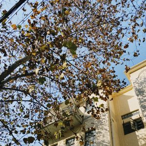 No.128 - 东京八平米：都市生活还可以这么过？