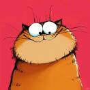 多晒太阳多睡觉