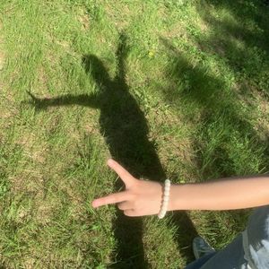 风滚草流浪日记