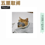 Vol.27：趁我带爸妈住酒店，猫和男友一起鬼混。