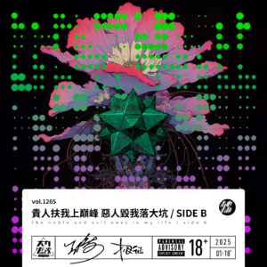 vol.1265 贵人扶我上巅峰 恶人毁我落大坑 / SIDE B