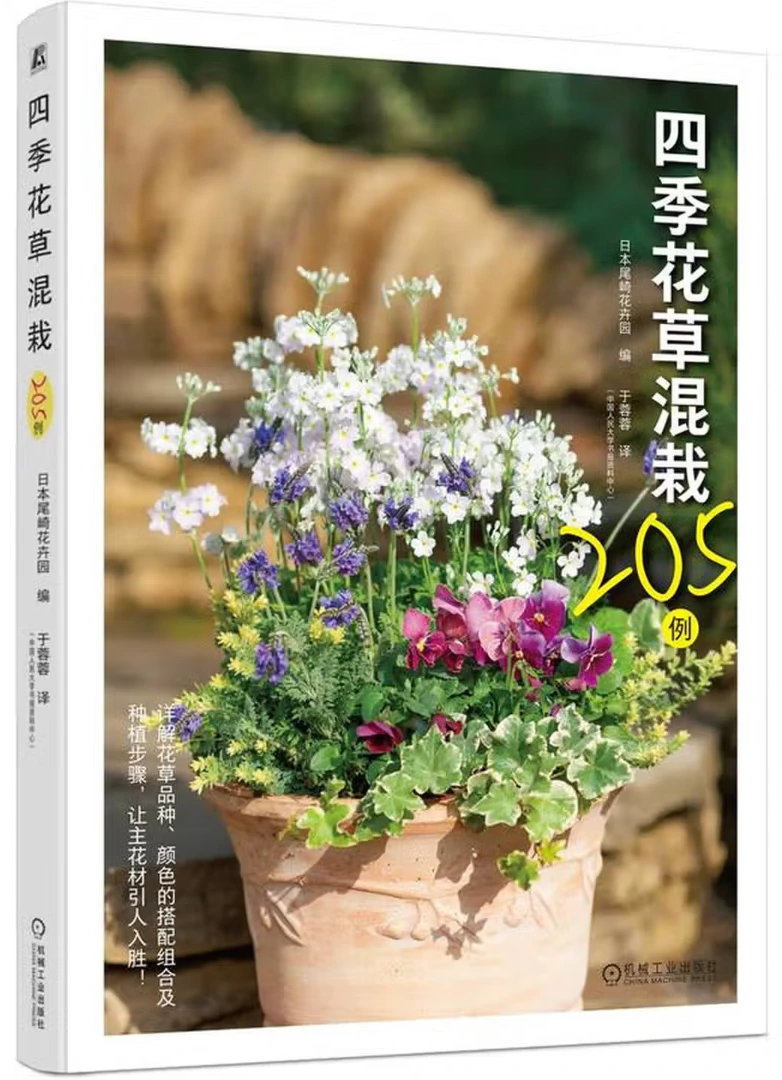 四季花草混栽205例