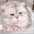 北梦木夕