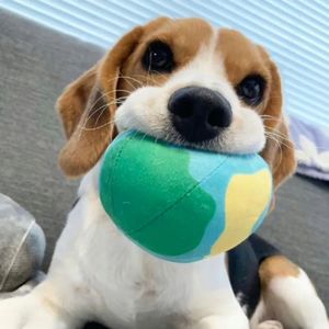 夏洛特也可以是夏洛克