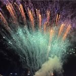 大呲花宝贝