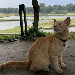 podcaster-avatar