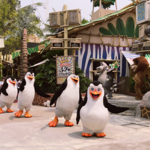 【鸮德乐】#03 夏日清凉系列·过山车那些事