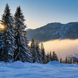 EP78 趋势跟踪快与慢