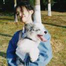 傅里叶不想展开