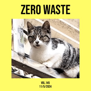 vol.145：没有哪首歌，应该被浪费