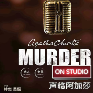 13.海龟汤丨阿加莎的悬疑世界