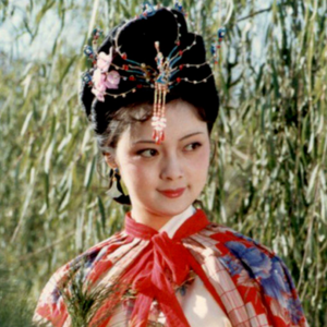 古风dj合集（跑步音乐纯享版）（未调速）