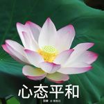 果冻超人哈哈哈