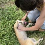 栗子的生活提案