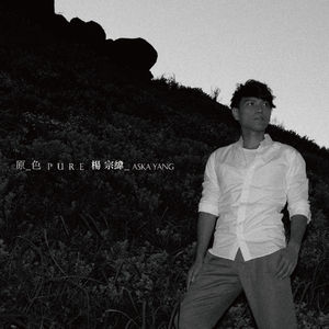 174）有点lan：杨宗纬《原色》