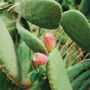 Vol.5文艺流情商洼地里的伪海王关于爱的问卷