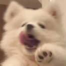77_JYQl