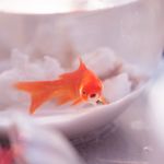她举起左手点名