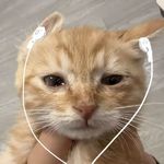 Amber漂流瓶