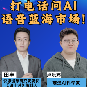 第379集 打电话问AI，语音蓝海市场！