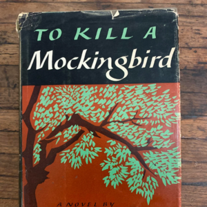 《杀死一只知更鸟》（上）：偏见与正义的童年课堂