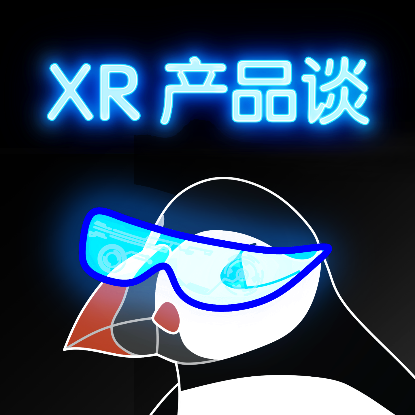 XR 产品谈