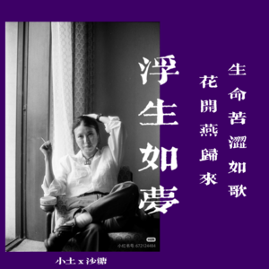 三毛和我们的青春阅读：她的自由有重量