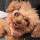 你猜我是谁_ztNn