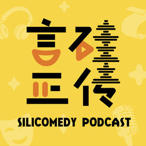 言硅正传