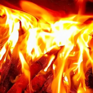 E6:黑暗年代的罪与冤-蒋英库涉黑团伙案