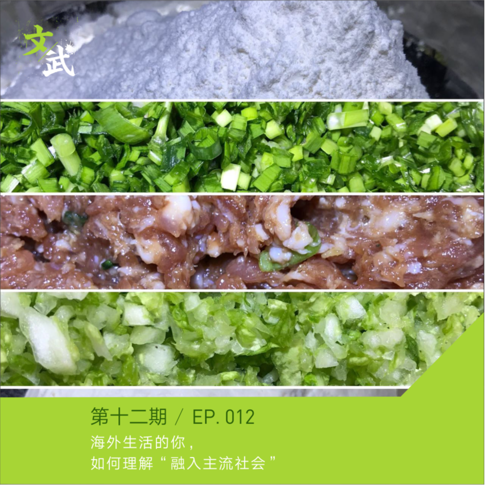 EP 012 海外生活的你，如何理解“融入主流社会” episode artwork