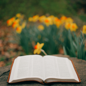 EP129 统计驱动的交易系统设计方法论