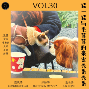 vol.30 谈一谈与毛茸茸的亲密关系