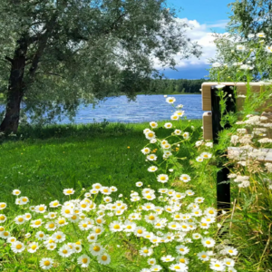 Ep01 春日歌单：呼吸·共鸣