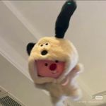 橙子要加油吖