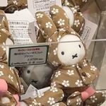 shitup碧翠丝