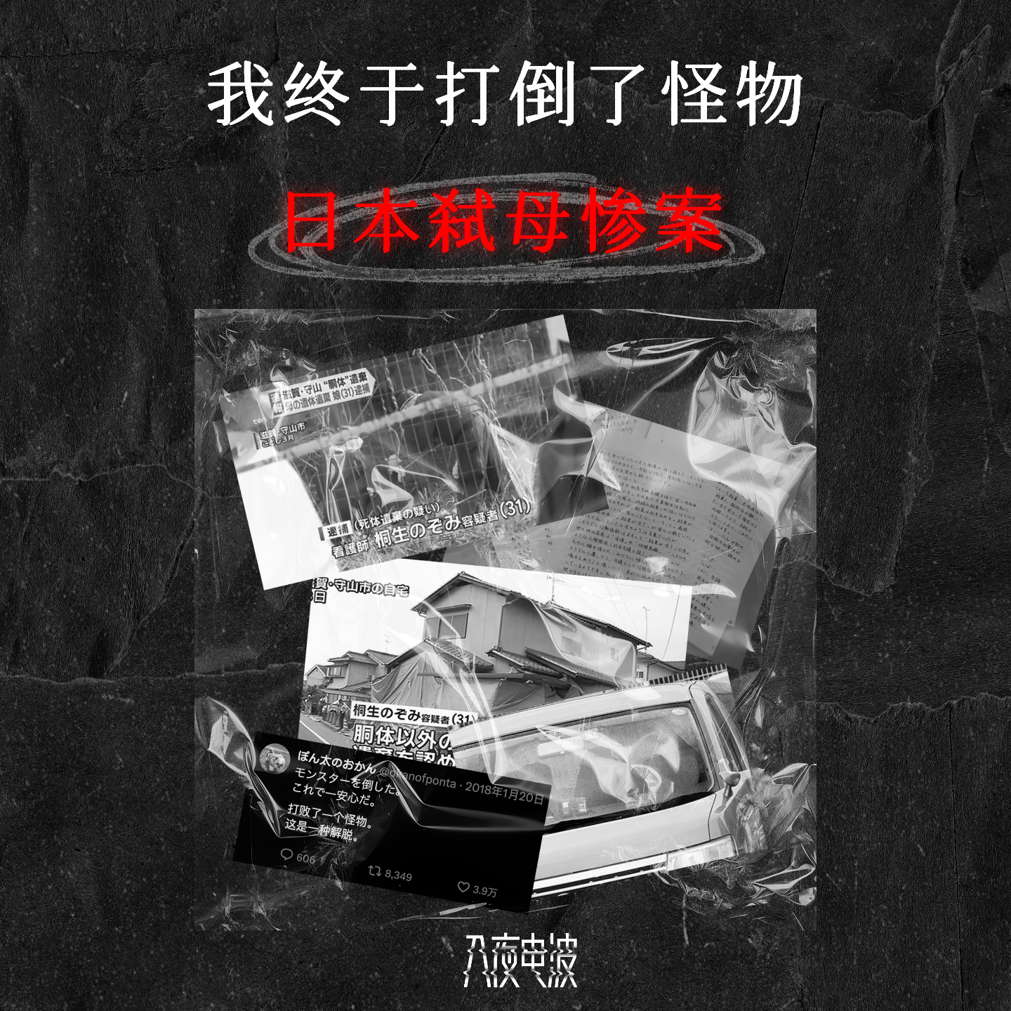 011.怪物毒亲，日本弑母惨案 episode artwork