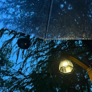 第一期：雨夜窗边的温柔独处