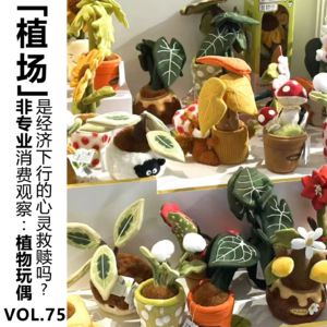 Vol.75【植场】非专业消费观察：植物玩偶是经济下行的心灵救赎吗？