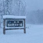 米_dLTf