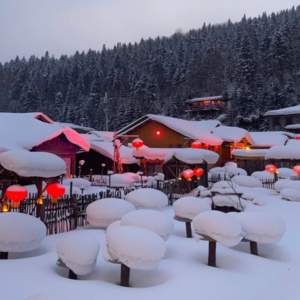 蜜雪冰城哈尔滨:南方人勇闯冰雪大世界!